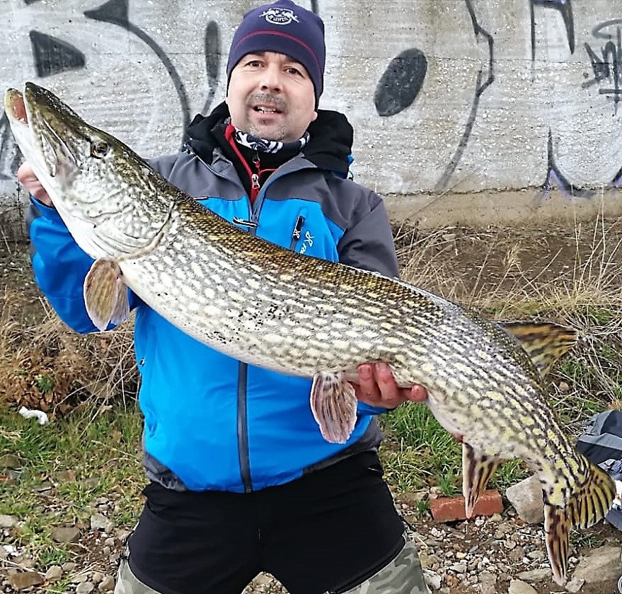 Riesen Hecht aus der Talsperre Zeulenroda im Winter. Petri Heil